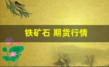 铁矿石 期货行情(铁矿石期货行情最新消息走势)_https://www.xzdzcjx.com_创业板_第1张